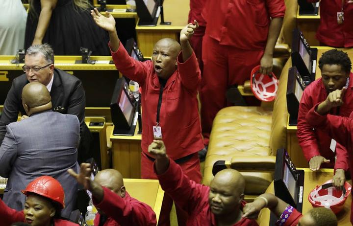 南非国会将处分经济自由斗士党议员